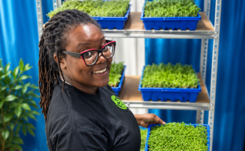 Lansamentu Simplygreens Boneiru Produsí i kumpra kuminda lokalmente plaka ta keda dentro ekonomia di e isla