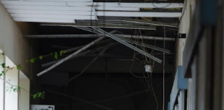 Trupanan Franses ta trein pa fortalesé koperashon