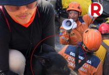 Kachó reskatá ta purba bolbe pa buska su doño