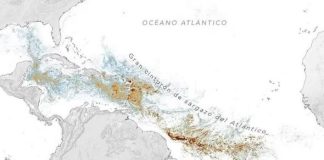 Nivel sin presedente di sargassum