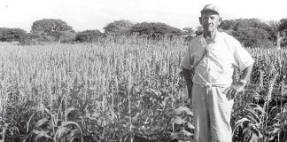 TERA TA DUNA TERA TA TUMA Outor: Bòi Antoin