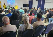 Fundashon Alzheimer konsentrando riba hóbennan