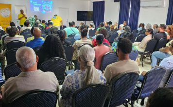 Fundashon Alzheimer konsentrando riba hóbennan