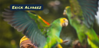 Erick Alvarez ganadó ‘Capture Bonaire Photo Contest 2026’