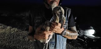 Flamingo ta dal den motosaikel Iron Order ku bon ehèmpel