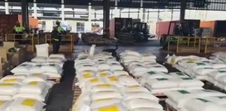 Colombia a interseptá 7.600 kilo di kokaina na kaminda pa Hulanda